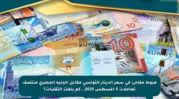 هبوط مفاجئ في سعر الدينار التونسي مقابل الجنيه المصري منتصف تعاملات 5 أغسطس 2025.. كم بلغت التقلبات؟